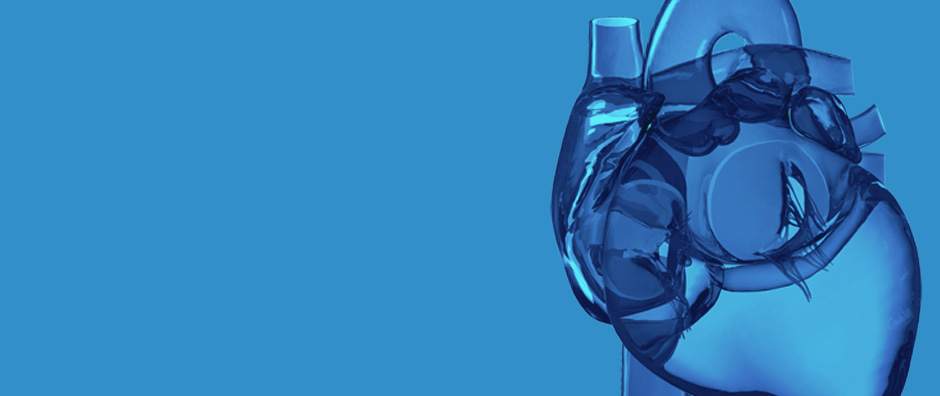 What is Sudden Cardiac Arrest? What is Sudden Cardiac Arrest?